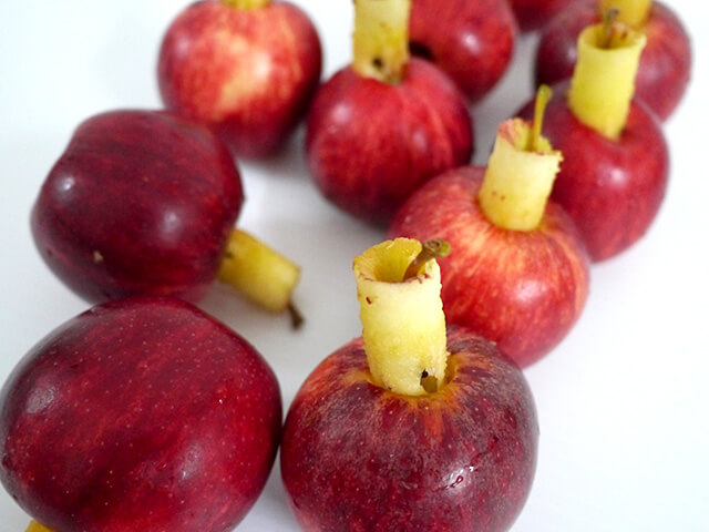 Appleの写真素材撮影