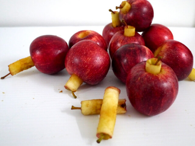 Appleの写真素材撮影