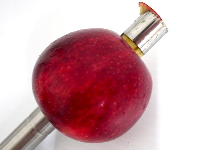 Appleの写真素材撮影