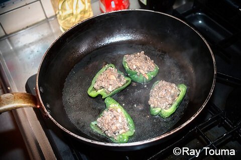 Photographing elements for the BENTO/Lunch Box Series