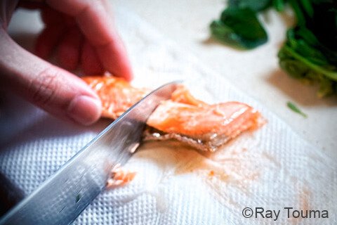 Photographing elements for the BENTO/Lunch Box Series