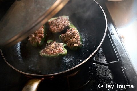 Photographing elements for the BENTO/Lunch Box Series