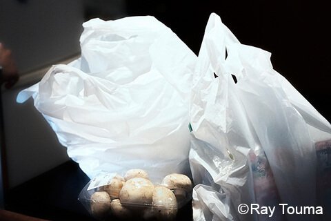 Photographing elements for the BENTO/Lunch Box Series