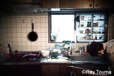 Photographing elements for the BENTO/Lunch Box Series