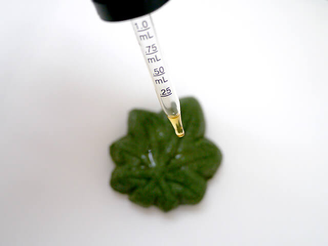 Photographing elements for the Cannabis-Shaped Sweet Buns series