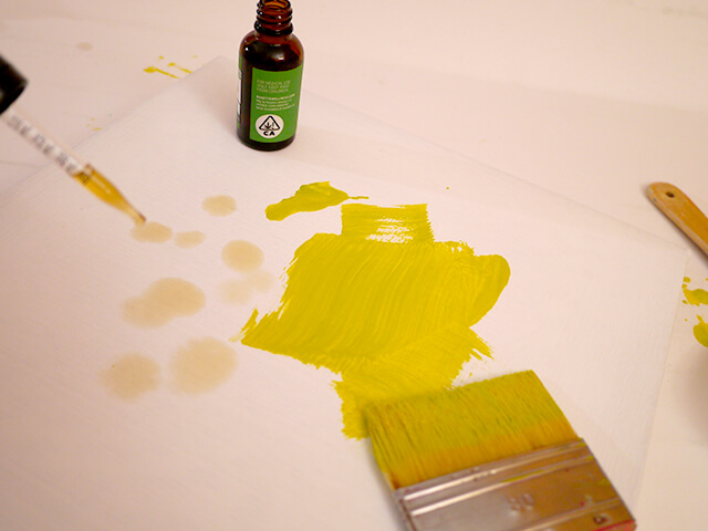 Photographing elements for the Cannabis-Shaped Sweet Buns series