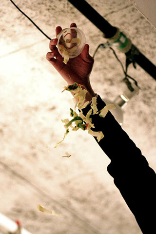 牛丼の滝/カップヌードルの滝の写真素材撮影