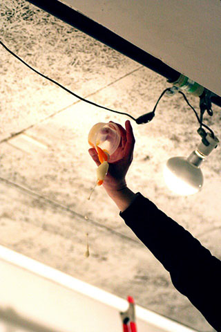 牛丼の滝/カップヌードルの滝の写真素材撮影