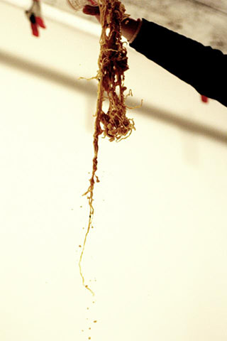 牛丼の滝/カップヌードルの滝の写真素材撮影