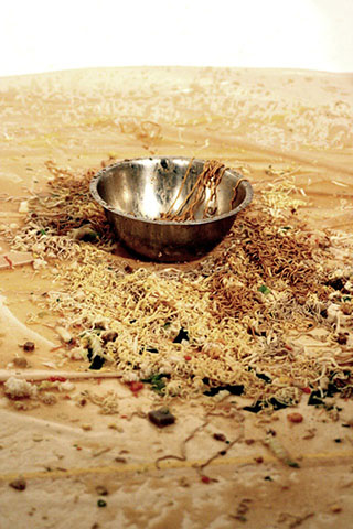 牛丼の滝/カップヌードルの滝の写真素材撮影