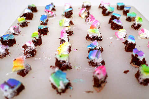 みんなで食べようの写真素材撮影