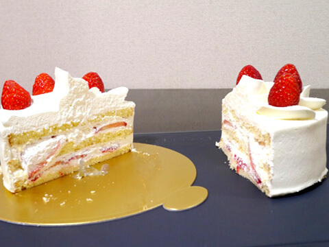 みんなで食べようの写真素材撮影