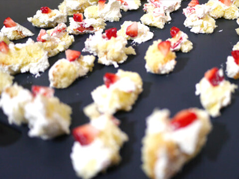 みんなで食べようの写真素材撮影