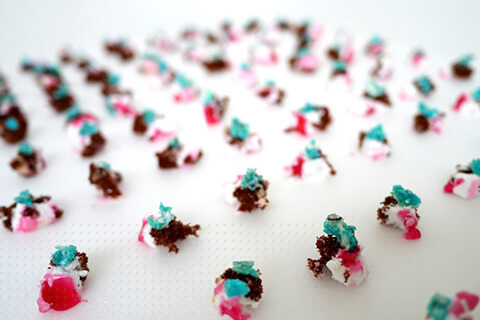 みんなで食べようの写真素材撮影