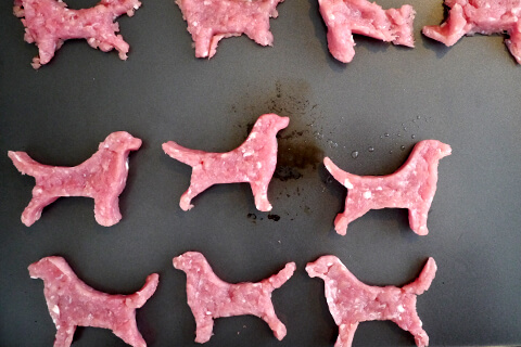 Photographing elements for the Mystery Meat series