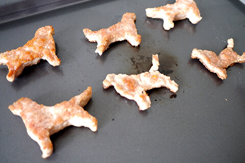 Photographing elements for the Mystery Meat series