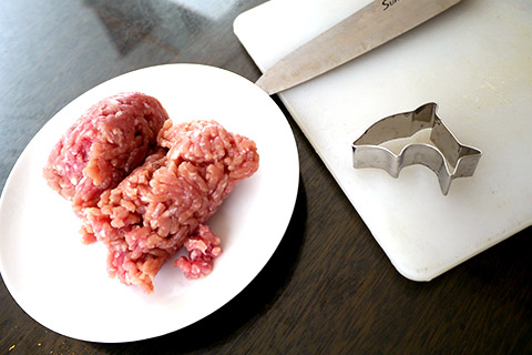 Photographing elements for the Mystery Meat series