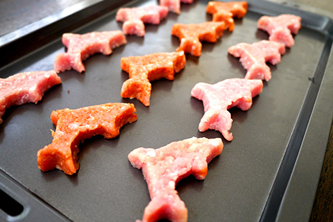 Photographing elements for the Mystery Meat series