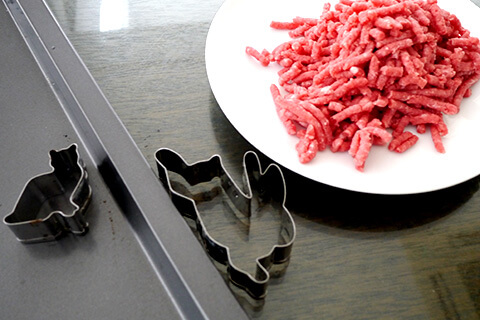 Photographing elements for the Mystery Meat series