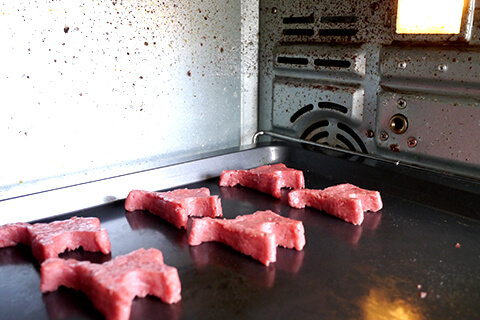 Photographing elements for the Mystery Meat series