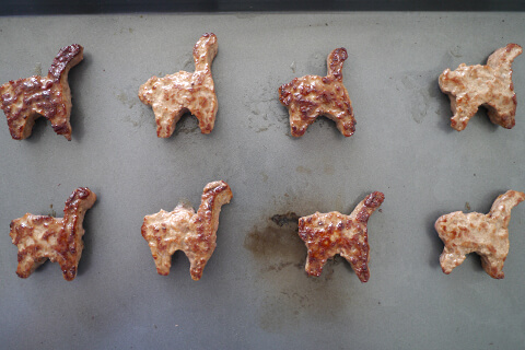 Photographing elements for the Mystery Meat series