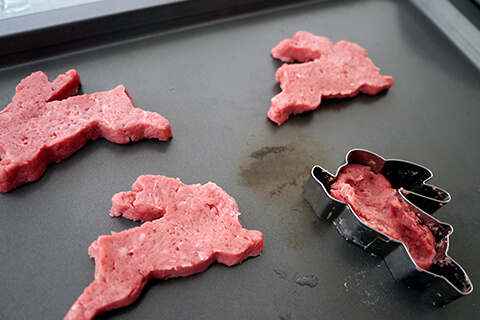 Photographing elements for the Mystery Meat series