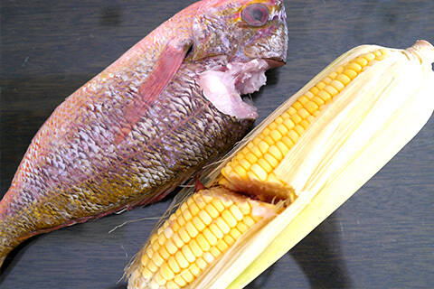 Making of Non-GMO series