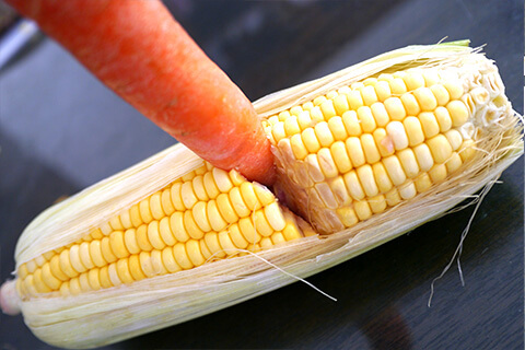 Photographing elements for the Non-GMO series