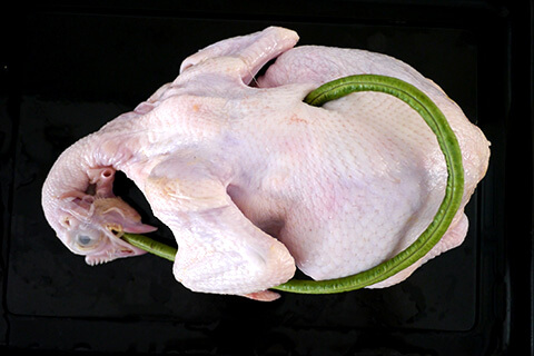 Photographing elements for the Non-GMO series