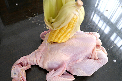 Photographing elements for the Non-GMO series