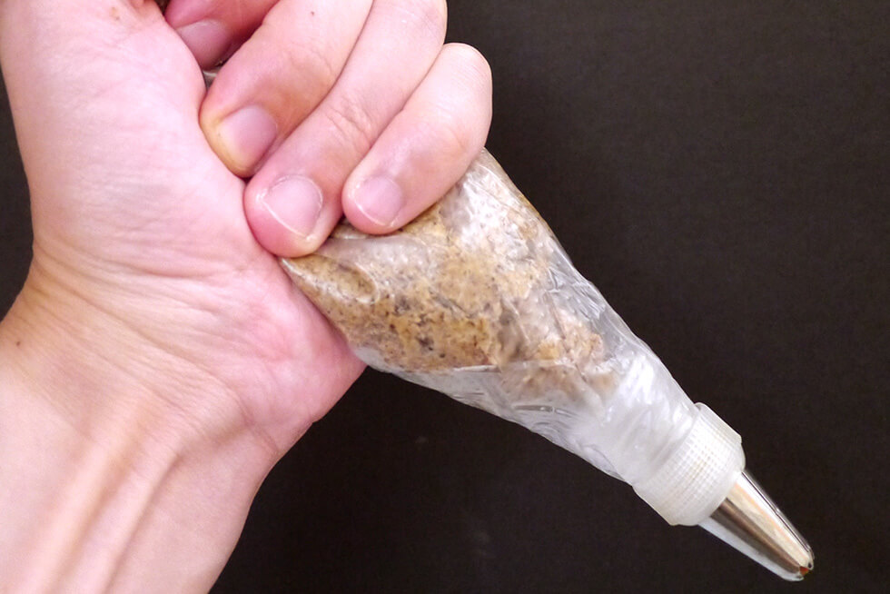 今日のごはんの写真素材