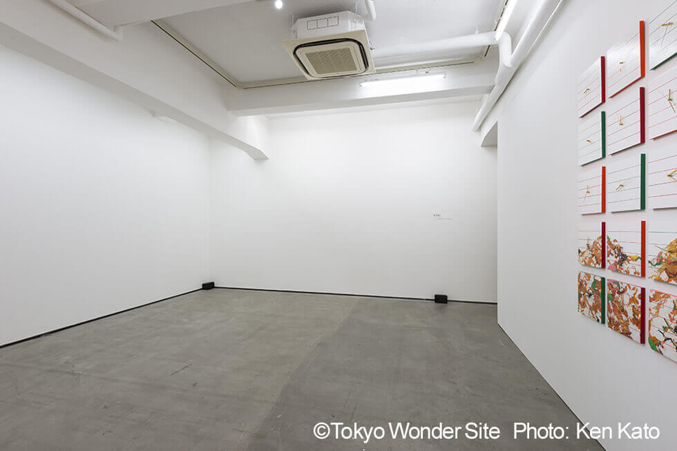 新宅睦仁個展「コンビニ弁当の山－Time is money.」@トーキョーワンダーサイト渋谷の展示風景