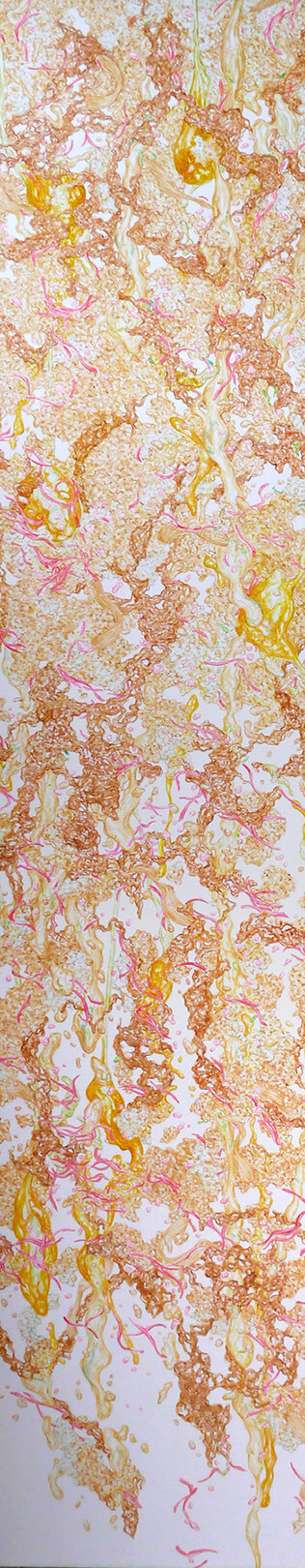 Gyudon Waterfall #116-01