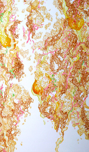 Gyudon Waterfall #116-02