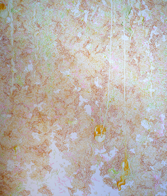 Gyudon Waterfall #115-01