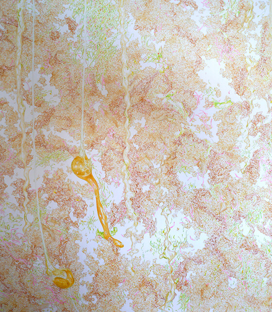 Gyudon Waterfall #115-02