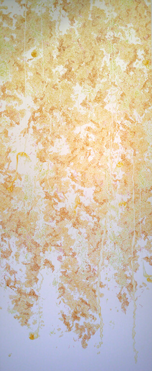 Gyudon Waterfall #115-02