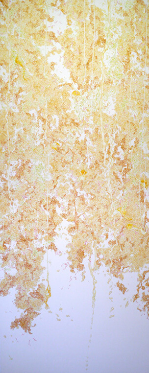 Gyudon Waterfall #115-04