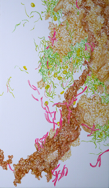 Gyudon Waterfall #115-08