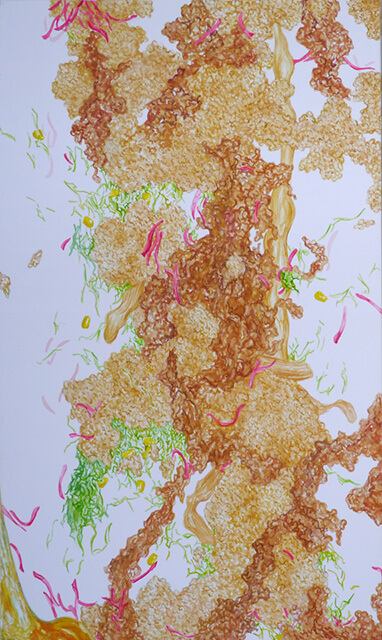 Gyudon Waterfall #115-11