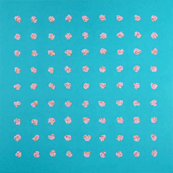 Let's eat everyone (In 82 people), Sweet Cream Cake